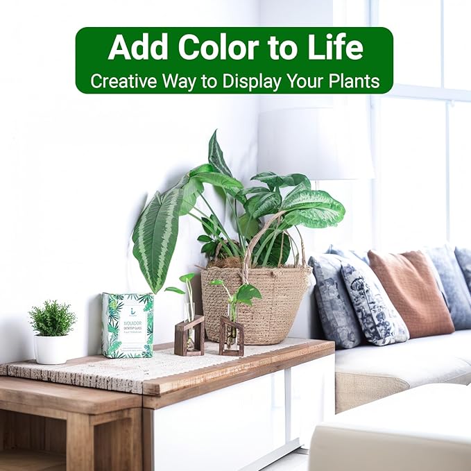 Ivolador Test Tube Propagation Stations Pothos Planter Terrarium Container Perfect for Propagating Hydroponic Plants Home Office Garden Decor Wedding -2 PCS