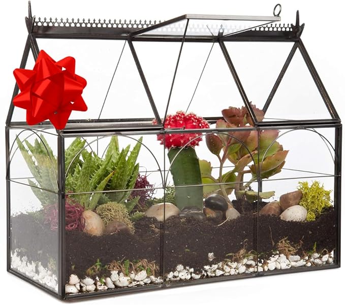 D'Eco Glass Greenhouse Plant Terrarium (10x4.5x9) - Indoor Tabletop Black Hinged Geometric Planter - Succulents, Air Plants, Moss, Fern - Home Garden Office Decor - Gift for Plant Lovers