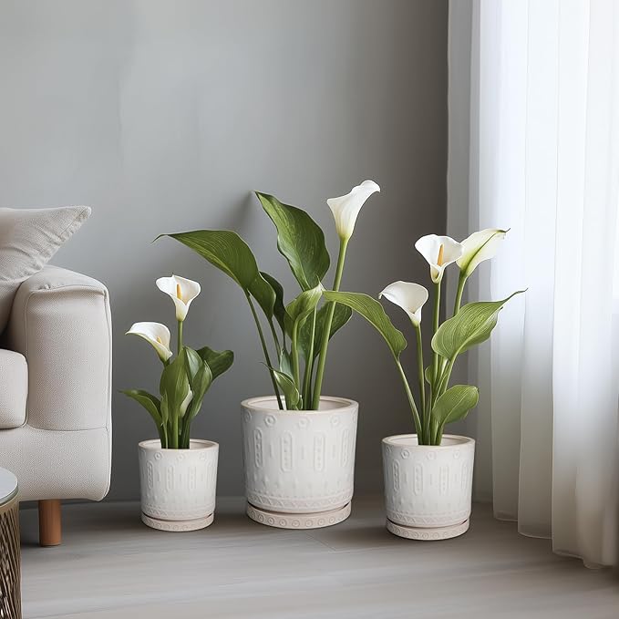 Pot for Plants 6 Inch - Ceramic Planter for Indoor Plants Decorative Plant Pot with Drainage Holes and Saucer Outdoor Flower Pot Modern Succulent Pot for Office Desk Decor White