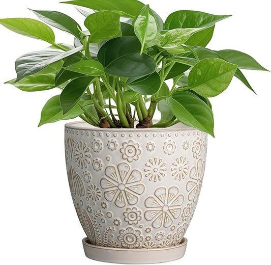 6 Inch Plant Pot with Drainage Hole and Saucer Ceramic Planter for Indoor Plant Flower Pot for Orchid Succulents Plants White