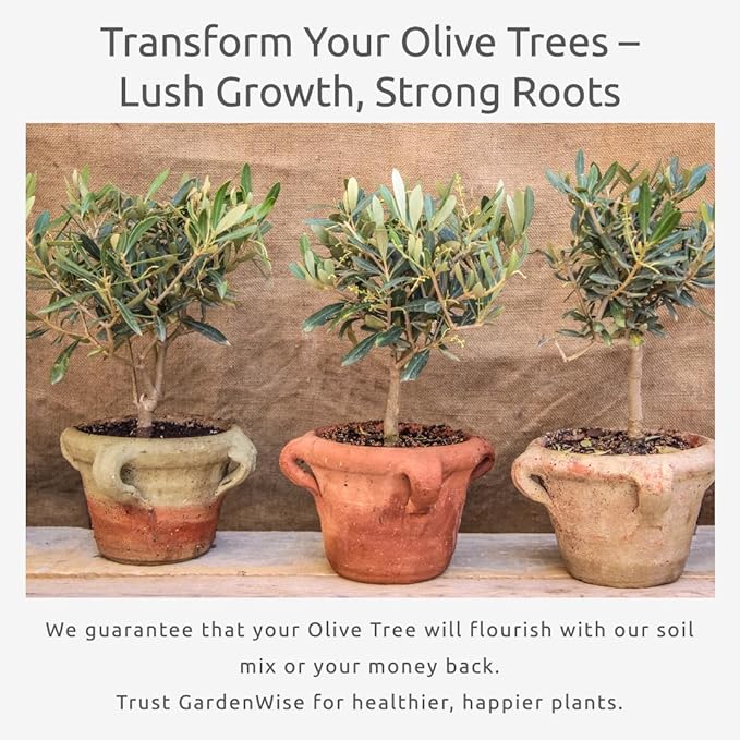 Organic Olive Tree Potting Mix – Fast-Draining, Nutrient-Rich Soil for Indoor & Outdoor Olive Trees – Mediterranean Plant Care – Long-Lasting Formula (5 QUARTS)