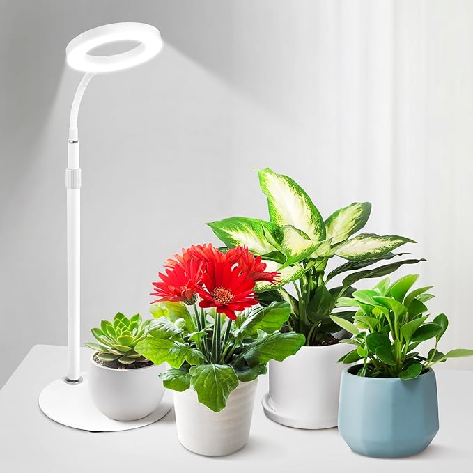 Grow Lights for Indoor Plants, Red Blue Yellow Full Spectrum Desktop Small LED Halo Plant Growing Lamps with Stand,Automatic Timer,24.2 inch Height Adjustable,10 Dimmable Levels,3 Lighting Modes,Mini