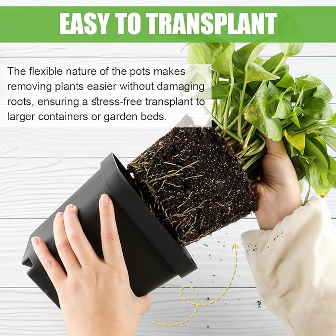 Square Nursery Pots 5.5 Inch, 30 Pcs Plastic Plant Pot with Drainage Holes, Reusable Seedling Starter Pots Garden Flower Pots Planters for Indoor Plants, Transplanting, Succulents, Cuttings