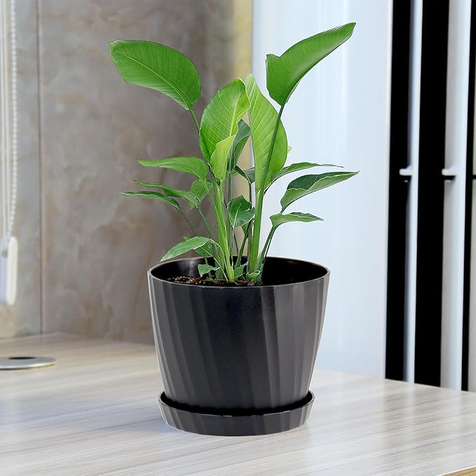 6 Inch Plant Pots Bulk, 6 Pack Plastic Planters with Drainage Holes and Saucers for Indoor Outdoor House Plants and Flowers, Black