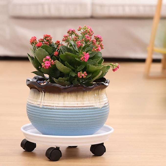 6 Packs Plant Caddy with Wheels 12" Plastic Rolling Plant Stands Heavy-duty Plant Dolly with Casters Indoor and Outdoor Plant Roller Base Large Heavy Plant Pot Saucers with Wheels Plant Movers