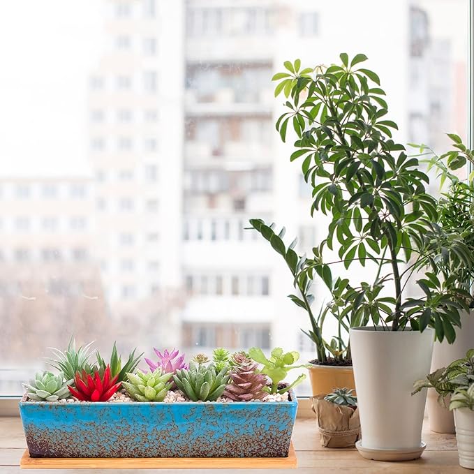 Succulent Pots - 12.1 Inch Large Succulent Planters Pots with Drainage Tray, Long Rectangle Ceramic Pots for Indoor Cactus/Succulent Plants Shallow Bonsai Window Box for Home Garden Decor (Blue)