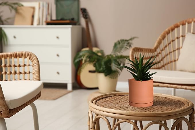 D'vine Dev Small Plus 5 Inch Terracotta Plant Pot with Drainage Hole and Saucer, Round Cylinder Planter Pot for Indoor Plants, 40-X-A-2