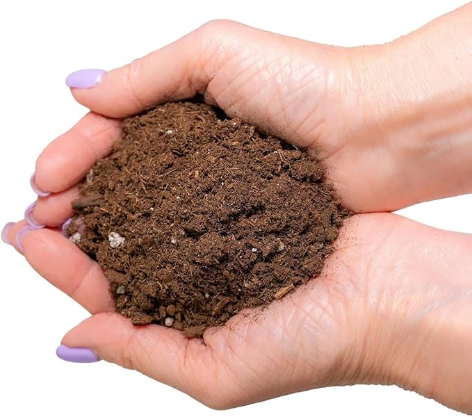 Premium Dracaena Potting Soil Mix - (2 Quart Bag)