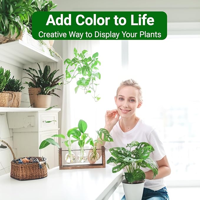 Ivolador Wall Hanging Plant Propagation Station,Bulb Plant Terrarium with Wooden Stand,Unique Gardening Gifts for Women Plant Lovers,Hydroponic Indoor Planter Home Office Decor-3 Bulb Glass Vases