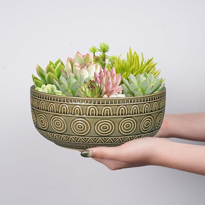 8 Inch Ceramic Succulent Planter Pot with Drainage Hole and Saucer Round Shallow Planter for Indoor Plants, Gray-Green