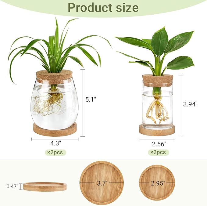 Dahey 4 Pcs Plant Propagation Stations Desktop Propagated Plant Jars Terrarium Glass Planters with Wooden Base and Lid Hydroponic Vase for Indoor Plants Tabletop Home Office Decor