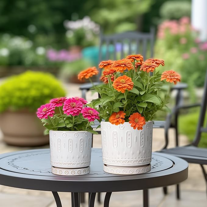 Pot for Plants 6 Inch - Ceramic Planter for Indoor Plants Decorative Plant Pot with Drainage Holes and Saucer Outdoor Flower Pot Modern Succulent Pot for Office Desk Decor White