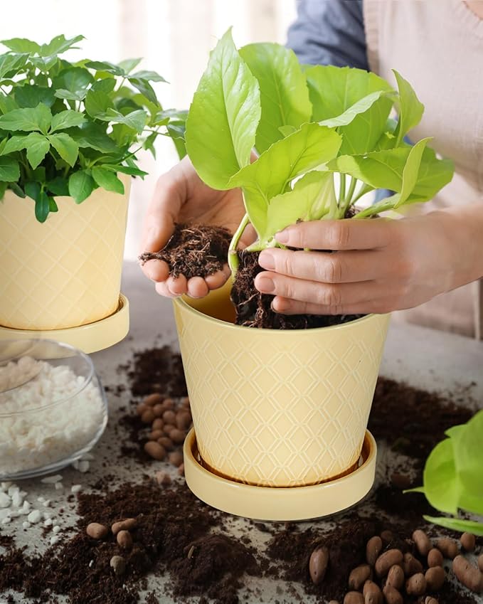 EFISPSS Ceramic Plant Pots, 5Inch Pots for Indoor Plants, Planters with Drainage Holes and Ceramic Tray, Flower Pots Desktop Office Windowsill Decoration Gift - Faint Yellow