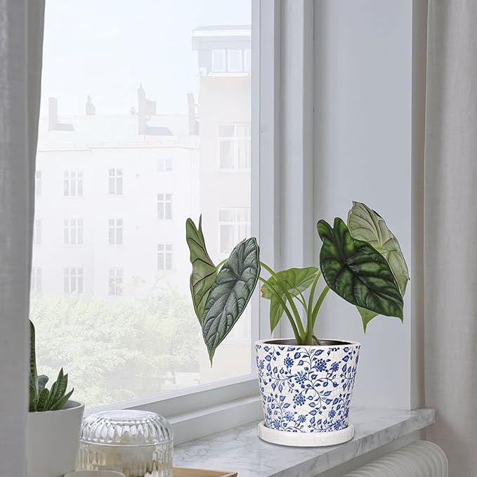 Set of 3 Decorative Plant Pots Blue and White Flower Pot, Round Ceramic Planters for Indoor Plants Pots with Drainage Hole Saucers, Retro Planter Pot for Succulents Cactus Outdoor Garden, 5.5/5.7 Inch