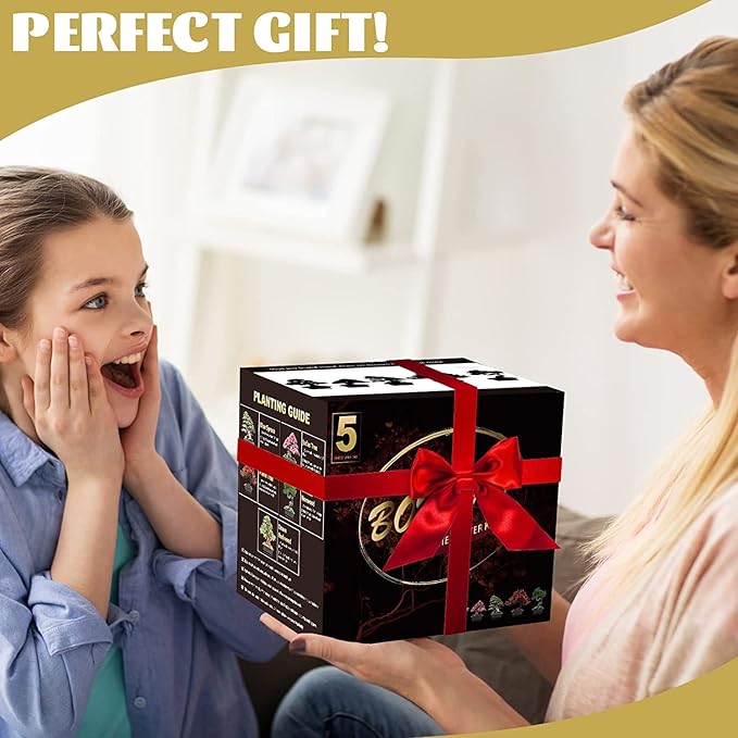 Bonsai Tree Kit with Complete Plant Growing Tools, Grow in Pot Indoor Bonsai Tree Starter Kit, Home Gardening DIY Gift for Adult