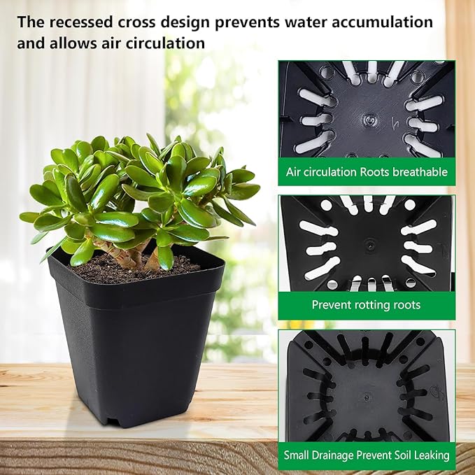 Square Nursery pots 4 Inches 60Pcs, Seedling Plastic Seeds propogation Growing Pots (Black,4Inches,60Pcs)