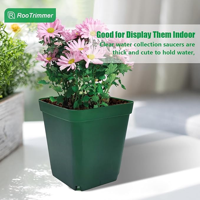 Square Nursery Succulent Pots 4 Inches 60 Pcs Deep Flower Plant Nursery Seedling Grow Pots Plastic with Drainage (Green, 4Inches, 60Pcs)