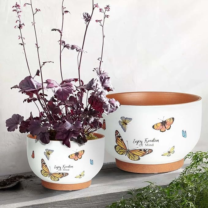 YBX 8 Inch & 6 Inch Terracotta Pots, Plant Pots Indoor, Flower Pots for Indoor Plants with Drainage, Planters with Butterfly Accent for Indoor Plants (Tropical)