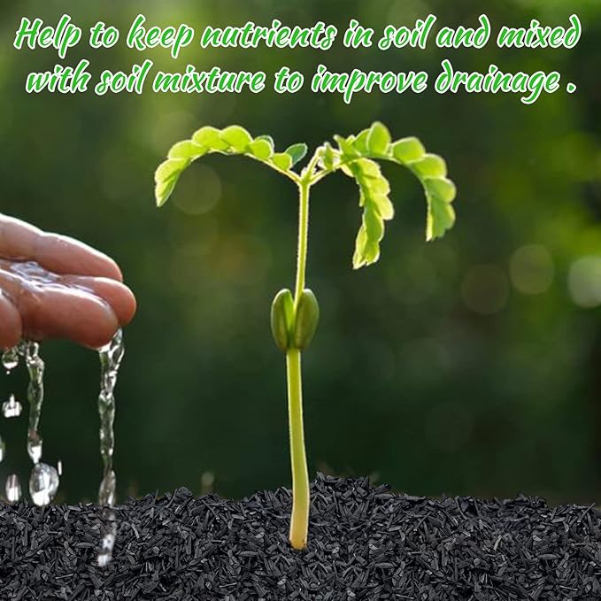 Legigo 6QT All Natural Horticultural Charcoal- Activated Hardwood Plant Charcoal for Soil Amendment, Conditioning Bonsai Soil, Succulent Soil, Terrarium Supplies, Indoor Plant Potting Soil