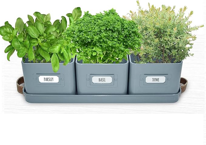 Herb Planter Indoor - Set of 3 Teal Blue Indoor Herb Garden Pots for Plants with Leather Handled Tray - Window Sill Plant Shelf - Herb Pots with Drainage Holes and Labels