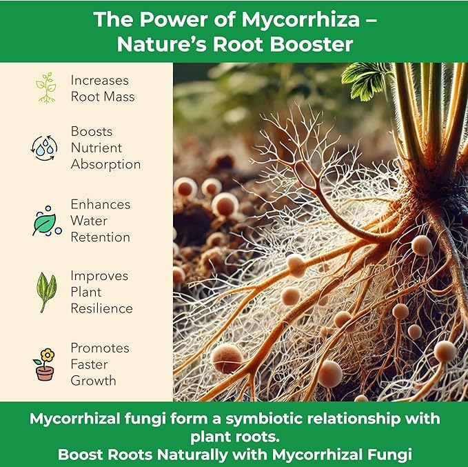 Organic Original Super Soil Concentrate with Mycorrhizae – Living Soil Boosts Roots & Buds for Seeds & Clones - Indoor & Outdoor Growing - Mix 1:4 with Topsoil Potting Soil (10 quarts)