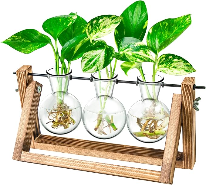 Ivolador Plant Propagation Station,Bulb Plant Terrarium with Wooden Stand,Unique Gardening Gifts for Women Plant Lovers,Hydroponic Indoor Planter Home Office Garden Wedding Decor-3 Bulb Glass Vases
