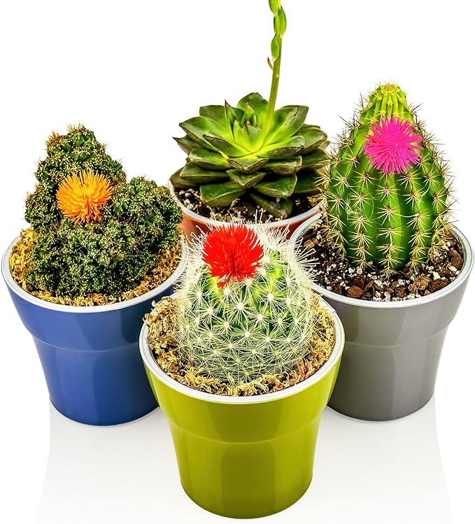 Sphagnum Moss Potting Mix for Carnivorous Plants, Moss and Perlite Blend for Potting Venus Fly Traps, Sarracenia, Pitcher Plants - 75% Sphagnum Moss + 25% Perlite - Made in USA - 5 Quart