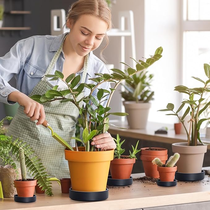 Phoenix Vine 6 Inch Plastic Plant Saucer Water Drip Tray, Heavy Sturdy Round Plant Drainage Tray for Indoors Outdoor, Set of 4, Matte Black, 21-TY-6B-4