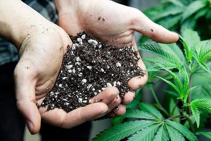 Organic Autoflower Plants Potting Soil Mix - Perfect Balance of Nutrients, Drainage, and Aeration for Thriving Autoflower Plants- 2 Quart