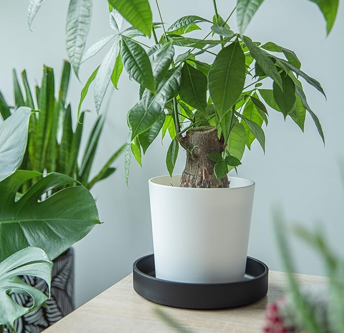 Phoenix Vine 8 Inch Plastic Plant Saucer Water Drip Tray, Heavy Sturdy Round Plant Drainage Tray for Indoors Outdoor, Set of 2, Matte Black, 21-TY-8B-2