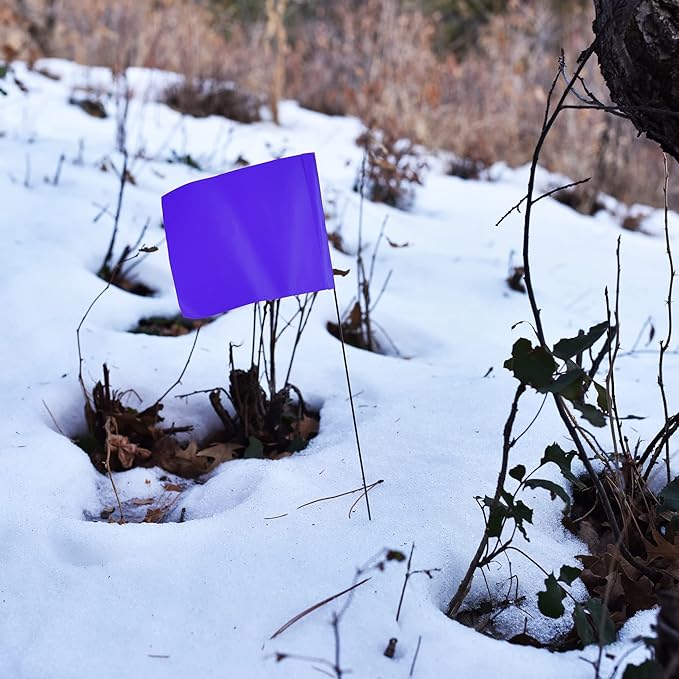 Purple Marking Flags 1000 Pack - 4x5x15 Inch Purple Flags for Outside - Markers For Lawn, Irrigation, Landscaping, Survey & Sprinkler Head Marking