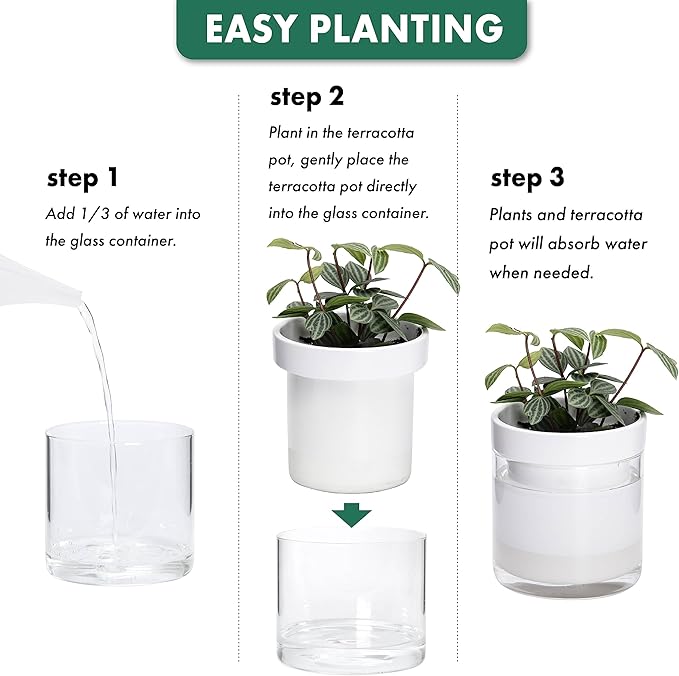 Phoenix Vine 6 Inch 4 Inch Self Watering Planter, White Terracotta Clay Pots with Glass Reservoir for Indoor Plants, Herbs, Flowers, 52-B-G-46