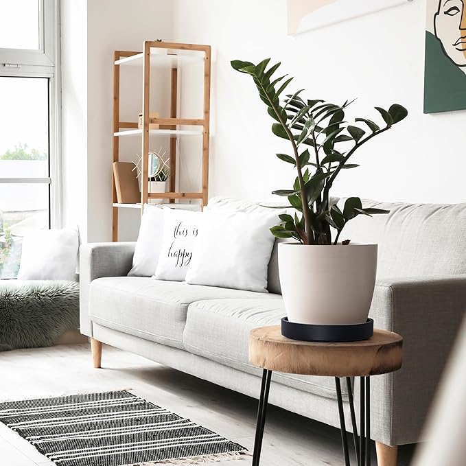 Phoenix Vine 8 Inch Plastic Plant Saucer Water Drip Tray, Heavy Sturdy Round Plant Drainage Tray for Indoors Outdoor, Matte Black, 21-TY-8B-1