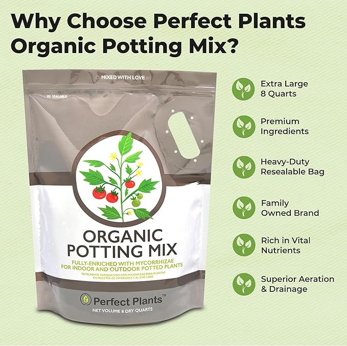 Organic Potting Mix by Perfect Plants for All Plant Types - 8qts for Indoor and Outdoor Use, Great for Veggies, Spices, and Holistic Herbs