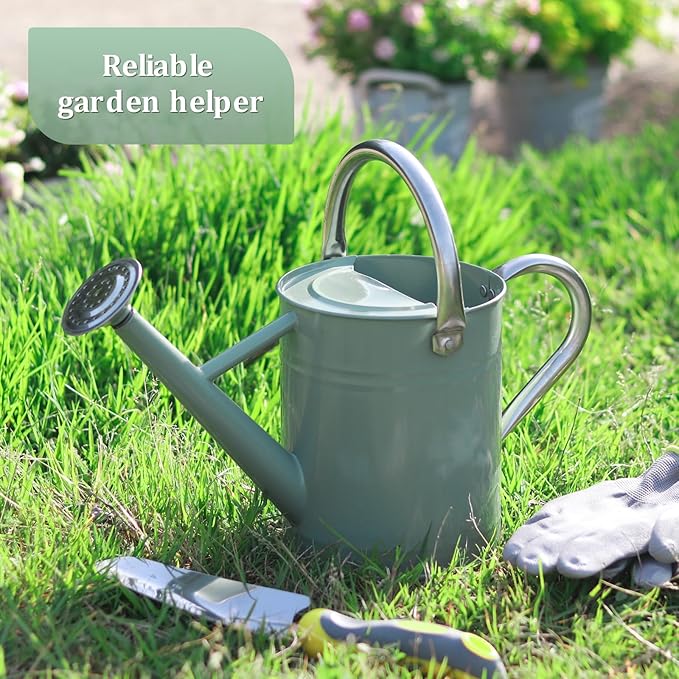 Watering Can for Outdoor Plants and Indoor Plants,1 Gallon Metal Watering Can for Garden Flower,Galvanized Steel Metal Water Can Watering Pot with Sprinkler Head