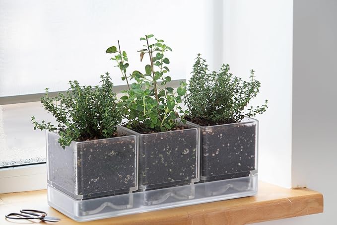 D'vine Dev Herb Garden Planter Set, Plastic Plant Pots with Drainage and Saucer, Indoor Succulent Cactus Vegetable Pot for Windowsill, Garden Balcony, Clear, Set of 2, 76-V-D-2