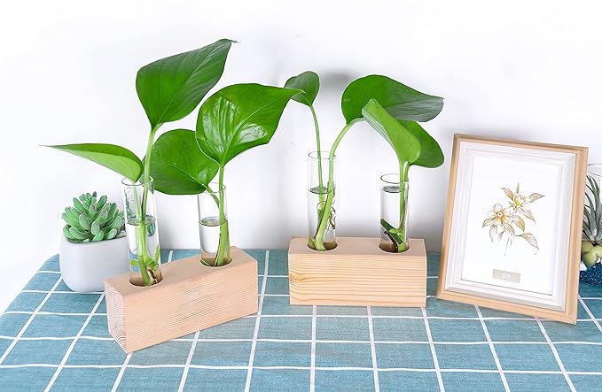 Ivolador Propagation Stations Double Test Tube Plants Terrariums in Wooden Stand Propagation Station for Hydroponic Plants Office Home Decoration