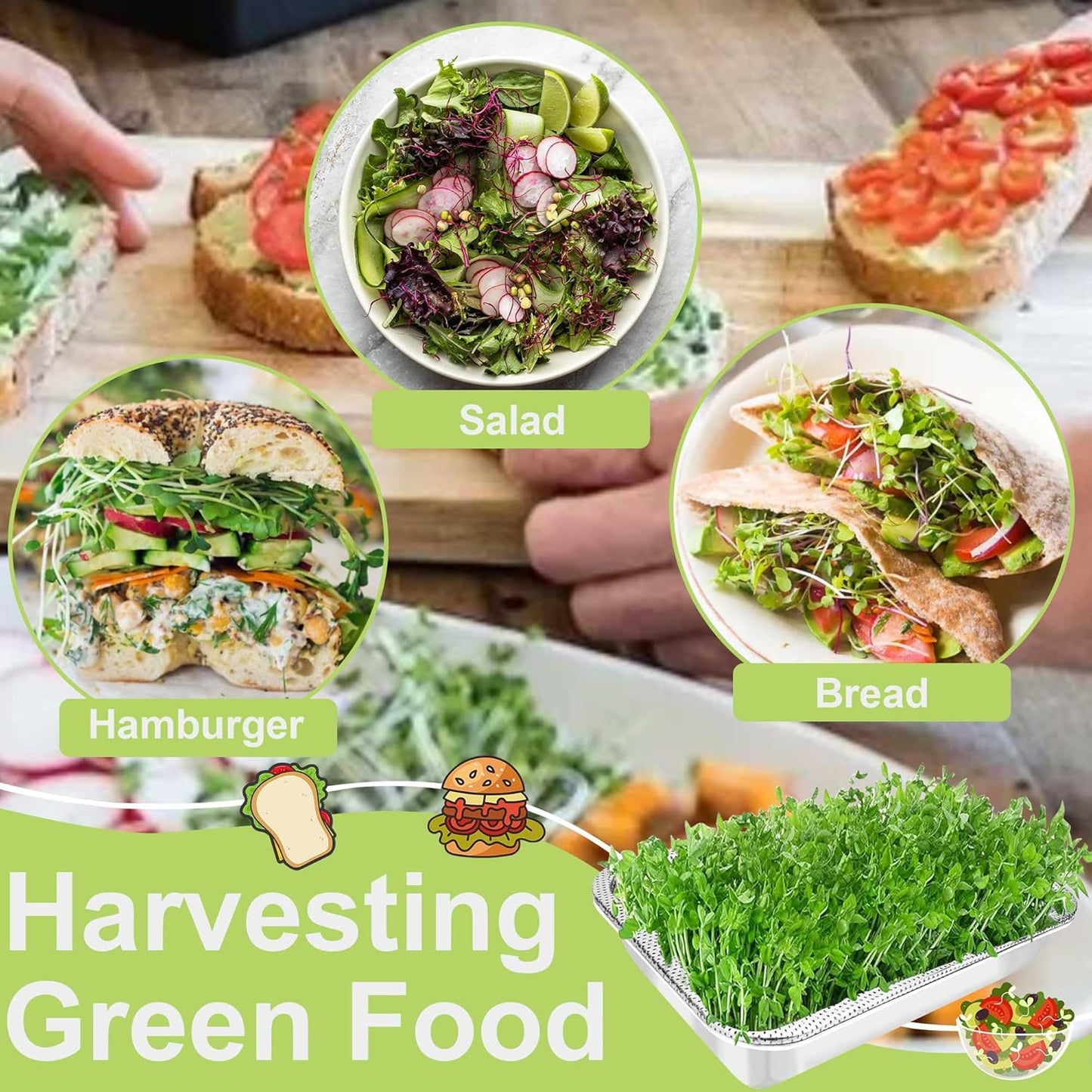 Stainless Steel Sprouts Growing Kit 2-Tier 12.4 inch Trays, Microgreens Growing Kit, Seed Sprouting Tray with Encrypted Mesh Sprouts for Beans Alfalfa Broccoli Wheat Grass