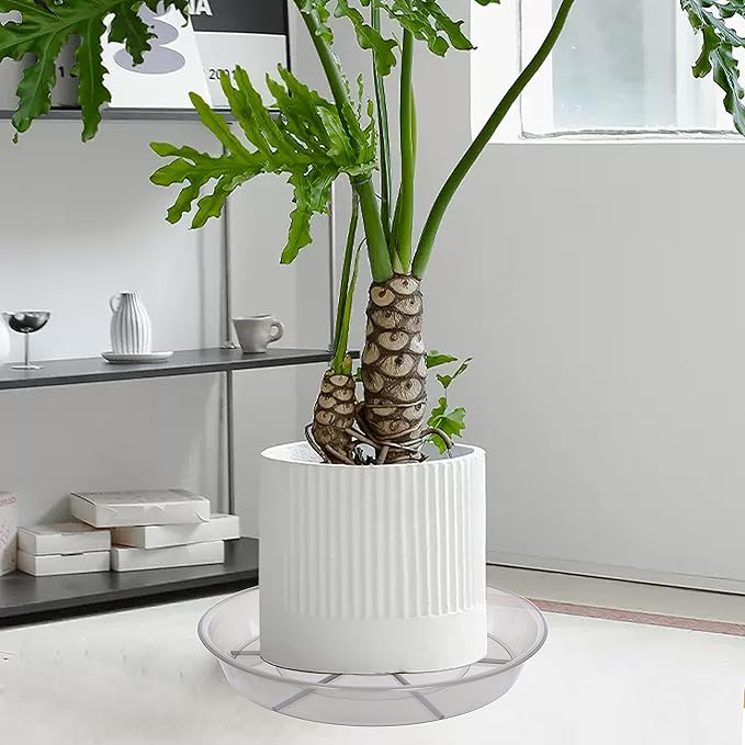 Plant Saucer, Plant Saucers, Plant-Saucers