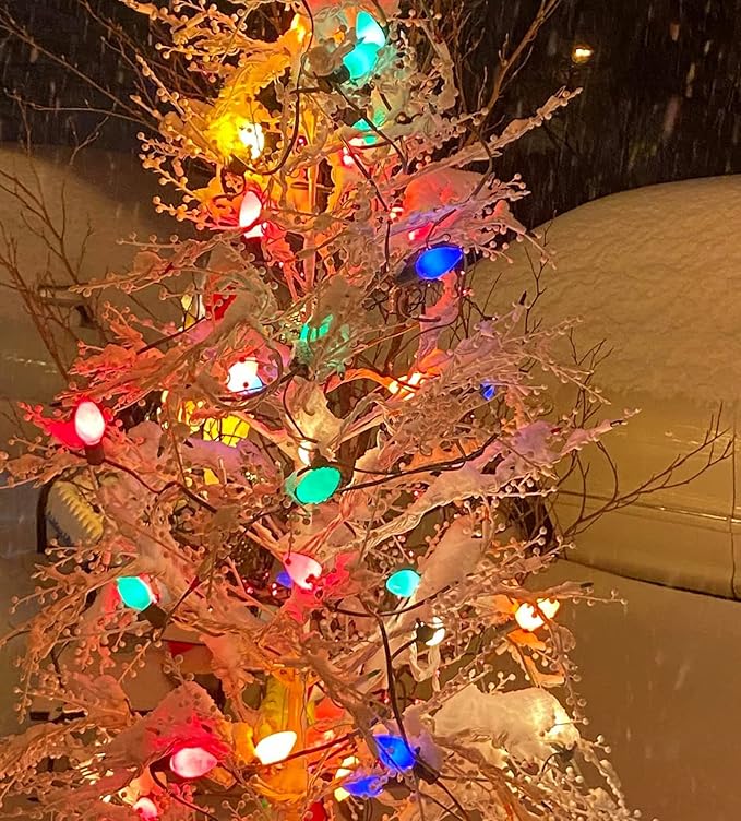 25Ft Outdoor Multicolor Ceramic Christmas String Lights,C9 Vintage Opaque Christmas String Lights for Patio Garden Christmas Tree Decoration,C9/ E17 Candelabra Base, Green Wire