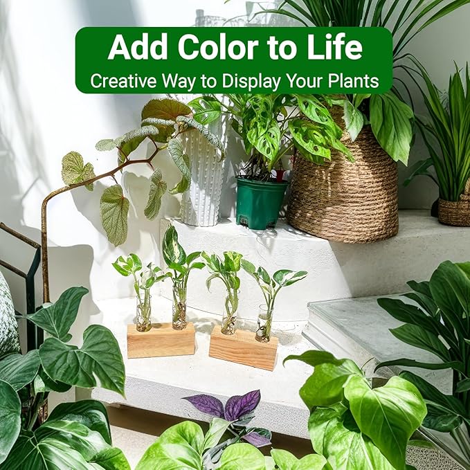 Ivolador Propagation Stations Double Test Tube Plants Terrariums in Wooden Stand Propagation Station for Hydroponic Plants Office Home Decoration