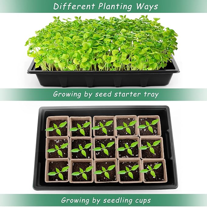 4 Pack Seed Starter Tray Kit, 120 Square Seed Peat Pots for Seedlings with Plants Labels, Planting Tools, Plastic Growing Germination Trays with Lids for Indoor Outdoor Gardening, Black