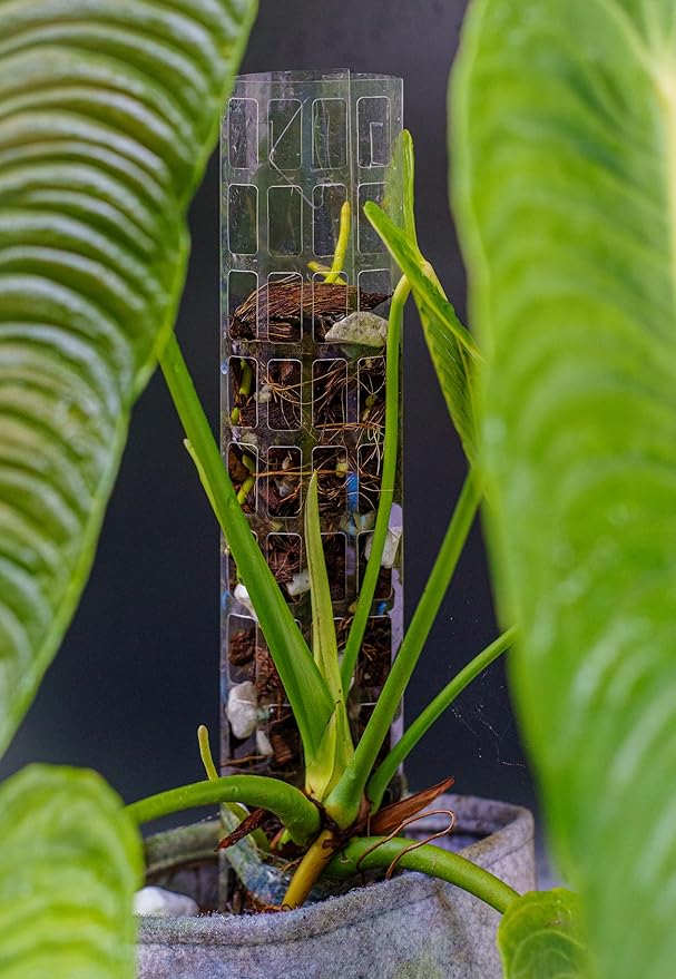 Plastic Moss Poles for Climbing Plants V2 Medium 5 Pcs Stackable Moss Pole Monstera Plant Support-Plant Climbing Pole, DIY Moss Pole for Plants Indoor, Plant Sticks Support by THICCLY