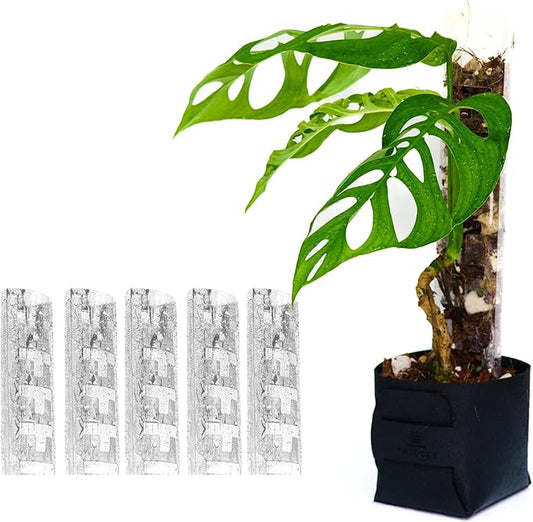 Plastic Moss Poles for Climbing Plants V3 Medium 5Pcs Front Opening Stackable Moss Pole Monstera Plant Support-Plant Climbing Pole, DIY Moss Pole for Plants Indoor, Plant Sticks Support by THICCLY