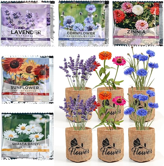 Indoor Daisy Garden Starter Kit with Gardening Tools - Jute Bags, Markers, Soil Disks and Shears, Home Gardening Gifts for Women Men Plant Lovers