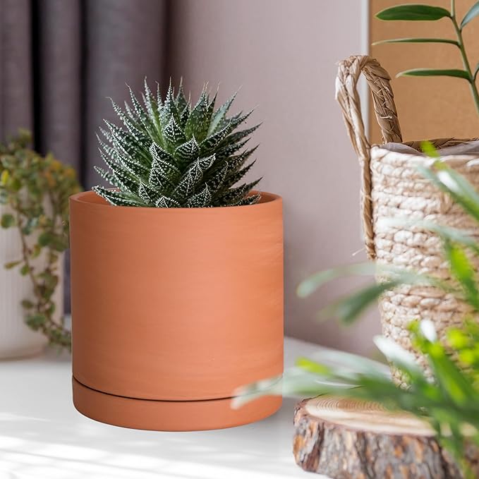 D'vine Dev X-Small 4 Inch Terracotta Plant Pot with Drainage Hole and Saucer, Round Cylinder Planter Pot for Indoor Plants, 40-X-A-1