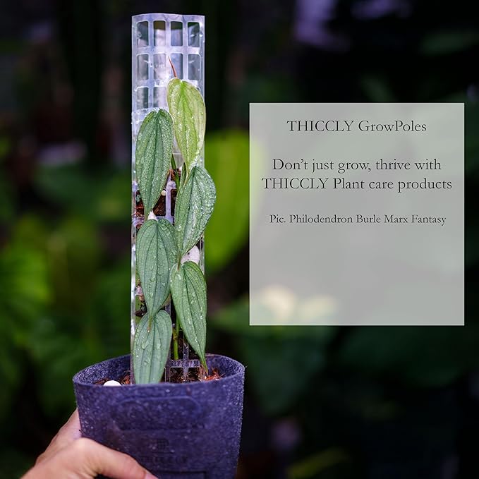 Plastic Moss Poles for Climbing Plants V2 Medium 5 Pcs Stackable Moss Pole Monstera Plant Support-Plant Climbing Pole, DIY Moss Pole for Plants Indoor, Plant Sticks Support by THICCLY