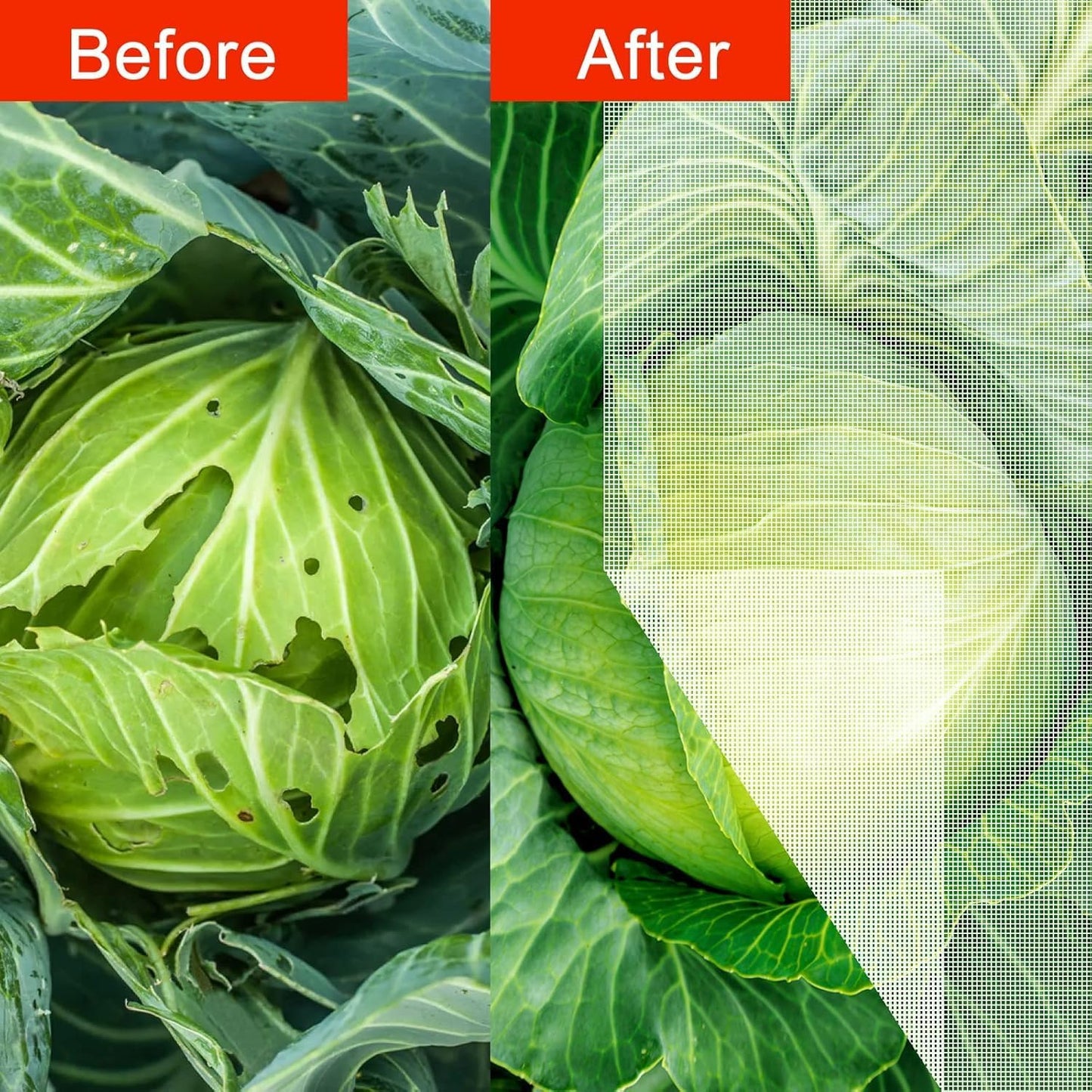 Agfabric Garden Netting 9.8X 49.2 FT Insect Pest Barrier Bird Netting for Garden Protection,Row Cover Mesh Netting for Vegetables Fruit Trees and Plants,White