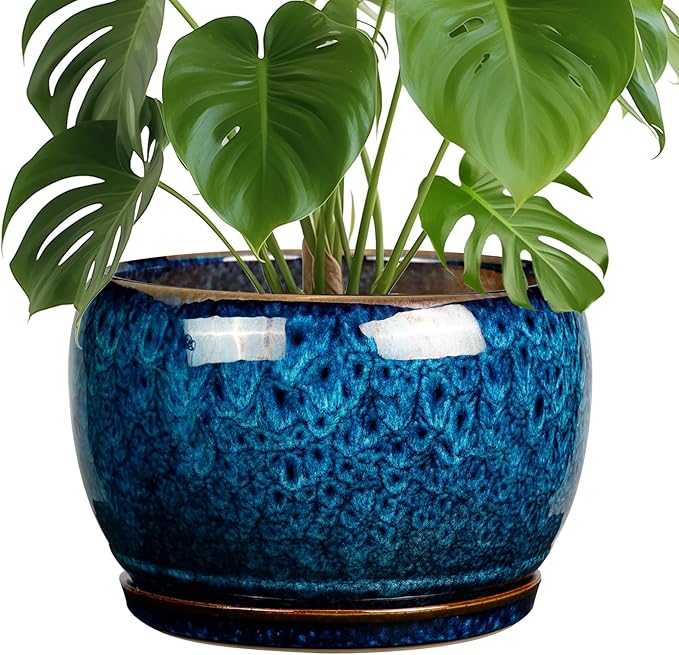 SQOWL 10 Inch Plant Pot - Ceramic Planter Pot with Drainage Hole and Saucer, Decorative Plant Pot for Indoor Outdoor Plants, Round Large Planter Flower Pot, Blue