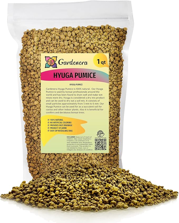 Japanese Hyuga Pumice - Premium Additive for Orchid & Bonsai Tree Soil |Professional Imported Sifted and Ready to Use (1 Quart Bag)